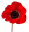 poppy2