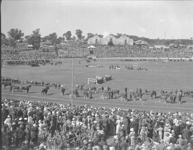 380 Messenger Horse parade Perth Royal Show 1934
