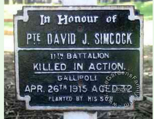 Royal Kings Park Western Australia - David Simcock's memorial plaque. Image courtesy of Lee-Ann Atkinson